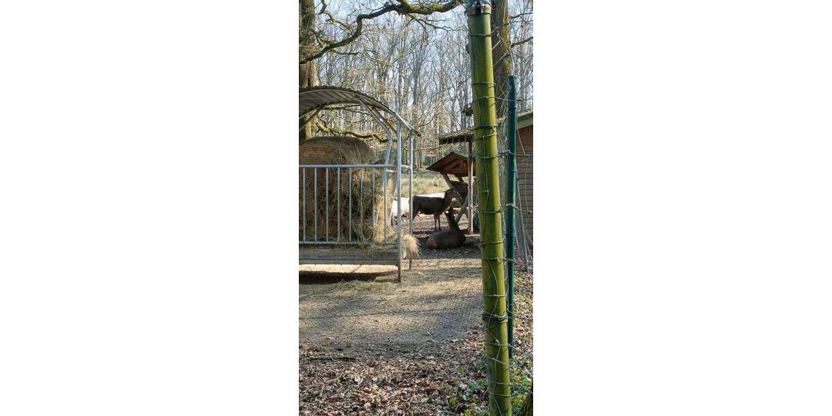 Tierpark bei Burg Wissem